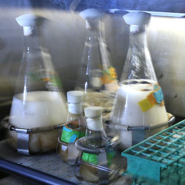 Shake Table