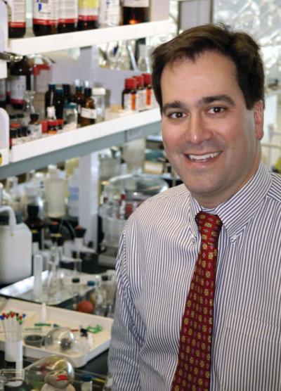 Chad Mirkin, Northwestern University