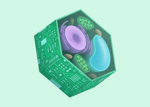 Membrane computer illustration