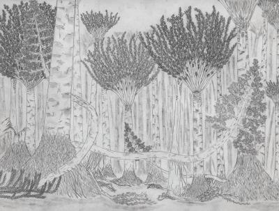 The Gilboa Forest: A Look Into the Past