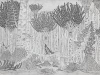 The Gilboa Forest: A Look Into the Past