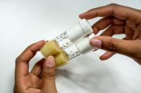 Fruit Flies
