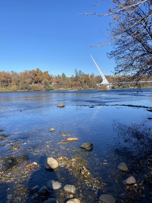 Sacramento River Spawning Grounds
