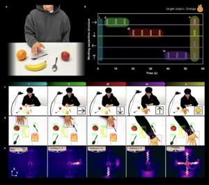Object Detection