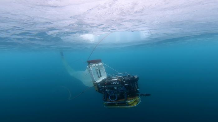 Remotely Operated Vehicle in use under water