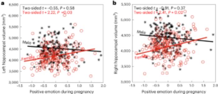 Effects of maternal positive emotion on brain morphology