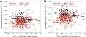 Effects of maternal positive emotion on brain morphology