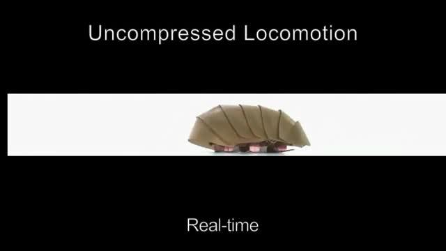 CRAM Robot Mimics Roach