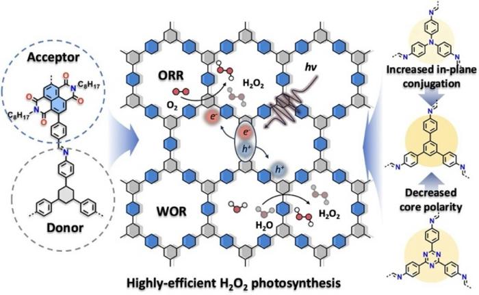 Electronic Structure Engineering of Naphthalimide-Based COFs for Efficient H2O2 Photosynthesis
