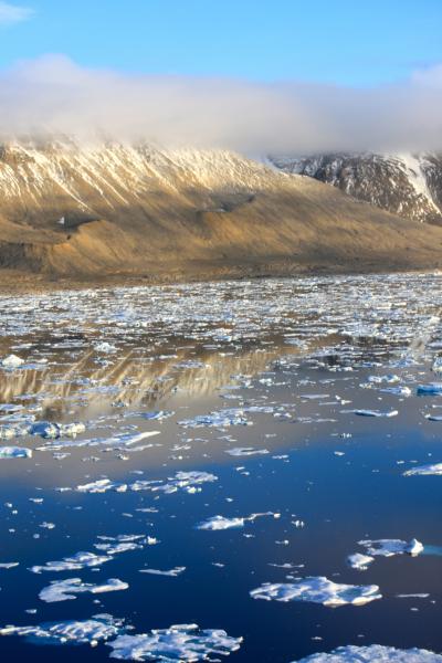 Sea Ice