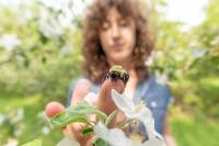 University of Vermont Bee Scientist Samantha Alger