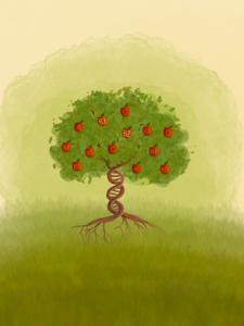 Nutritional Genomics