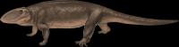 <i>Ophiacodon</i>
