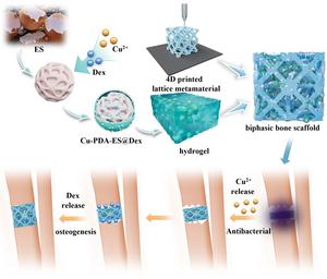 Biomimetic multifunctional biphasic bone scaffold