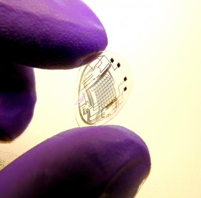 Contact Lens (1 of 2)