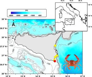 Distribution map of Gonioinfradens giardi