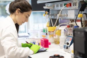 Researcher at the laboratory