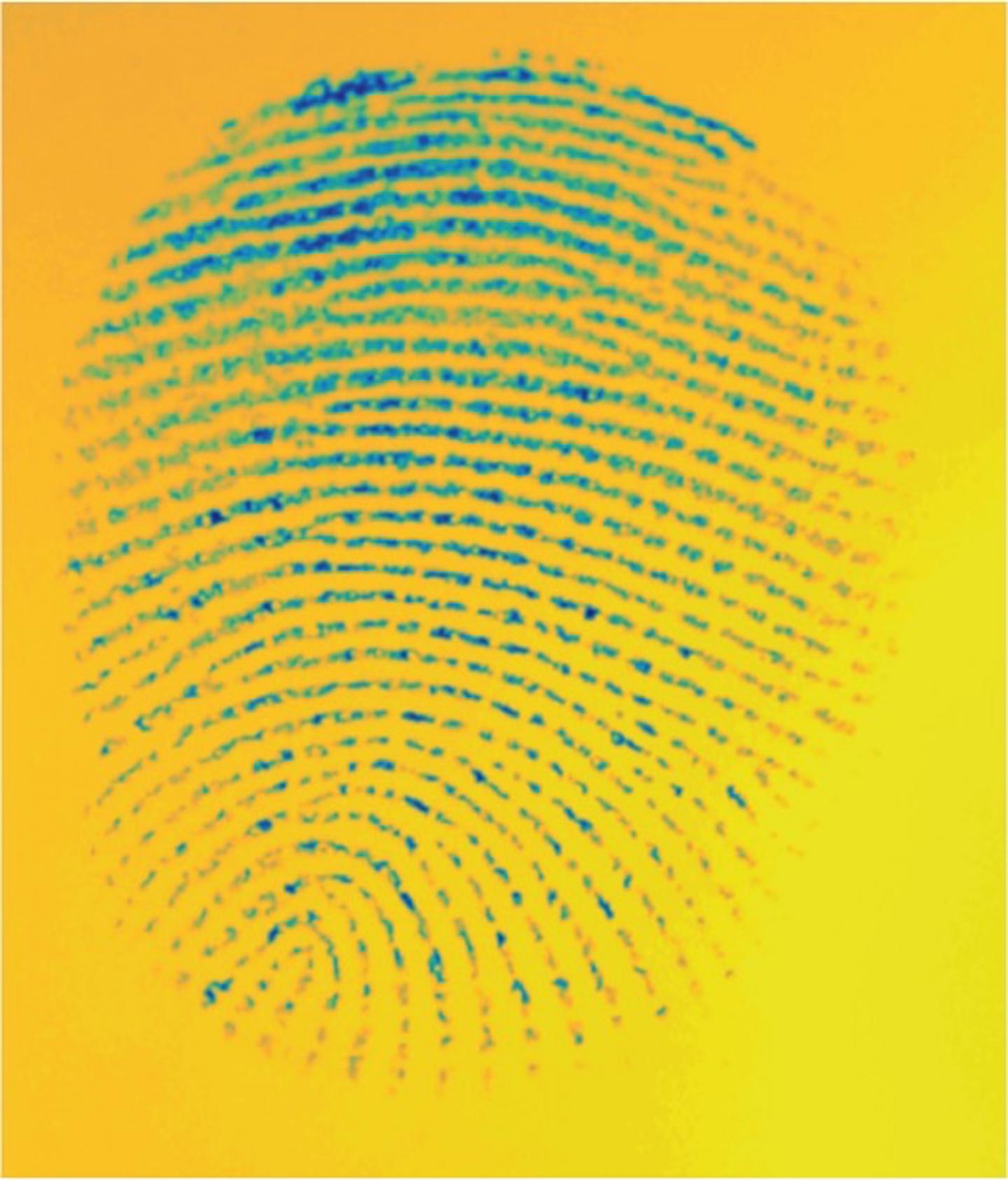 Fingerprints