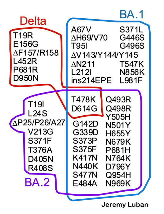 mapping mutations on a shapeshifting virus