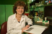 Discovery of a New Kind of Molecule