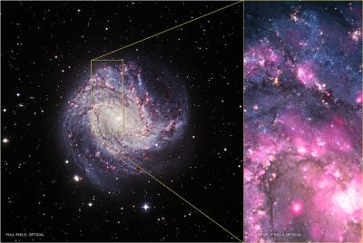 ULX in M83