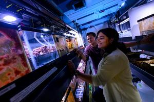 Coral Reef Ecophysiology and Engineering Lab invents new material that may boost coral reef restoration
