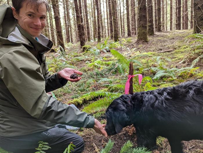 truffle research
