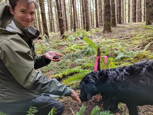 truffle research