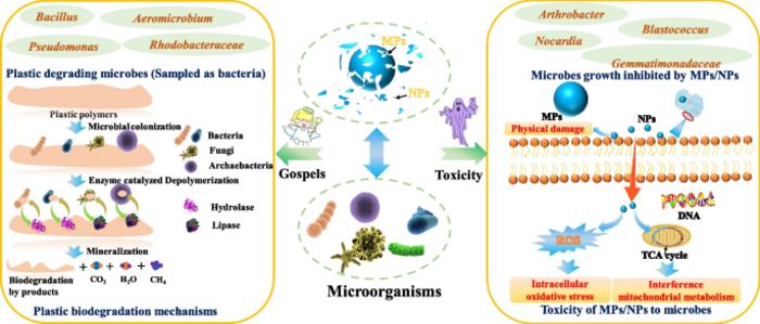 Micro/nanoplastics contamination of the terrestrial environment: exposure routes, dose, and co-contaminants complicate the risk calculus