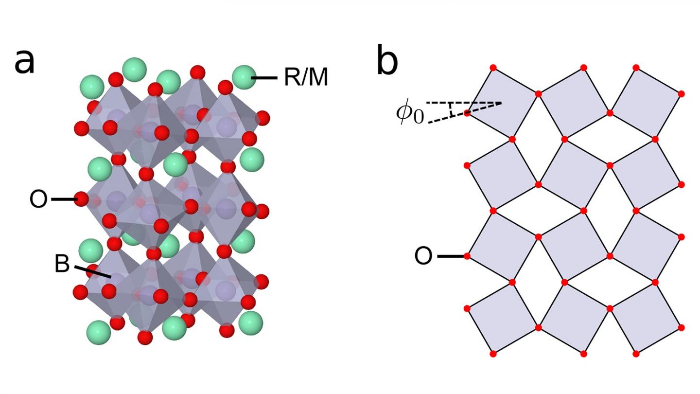 Structure of Perovskite Transition Metal Oxides