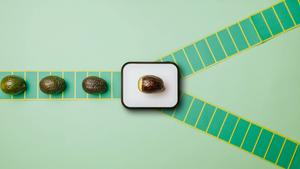 Stop motion avocado
