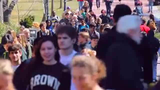 Virtual Crowds