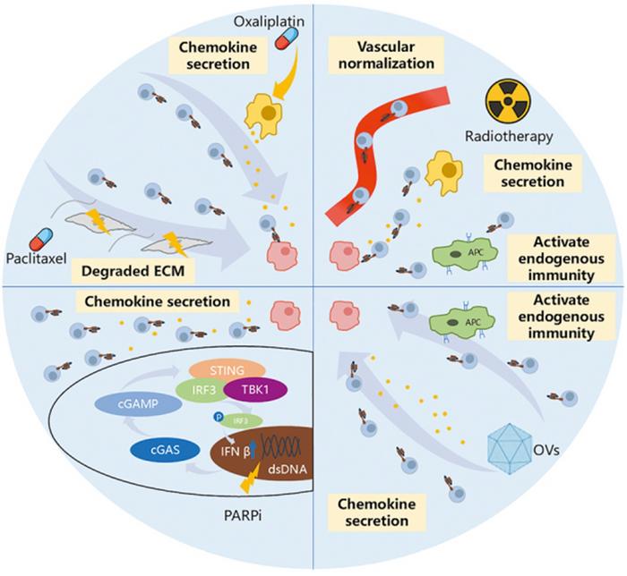Mechanism of the combination of different anti-tumor therapies to promote CAR-T cell infiltration