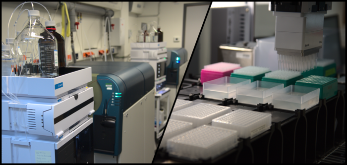 Machine learning model uses blood tests to predict COVID-19 survival