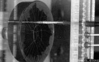 Ceramic Disk
