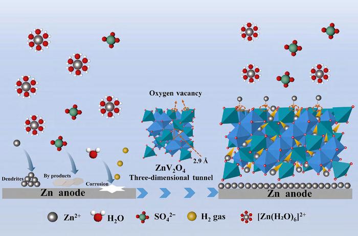 Schematic diagram of Zn ion transport and diffusion in the three-dimensional tunnel of ZnV2O4 with moderate oxygen vacancies.