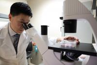 Shawn Wang, Ph.D.