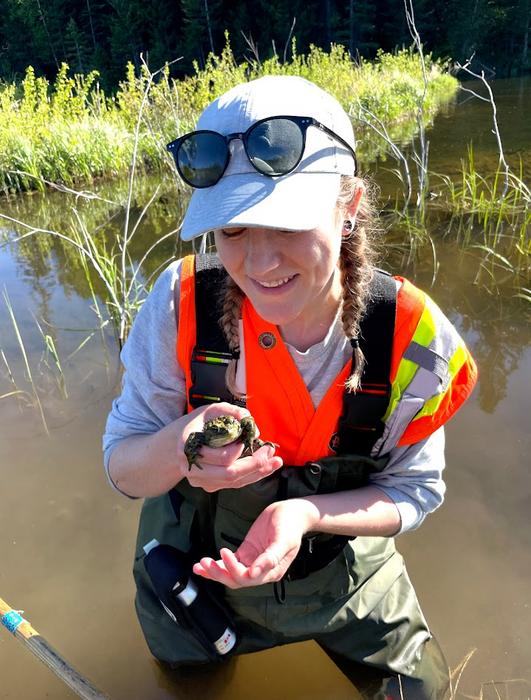 More Canadian than the beaver? Scientists discover a western toad found only in Canada