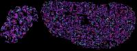 GenomeMotionsImage3