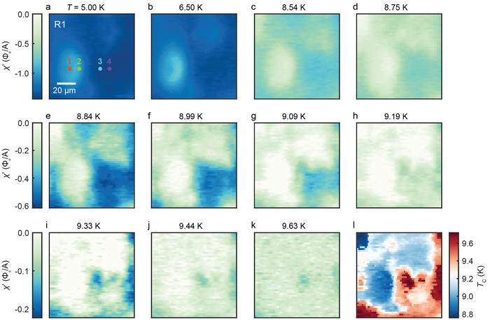 Temperature evolution of the superconducting diamagnetism and the map of local superconducting transition temperature