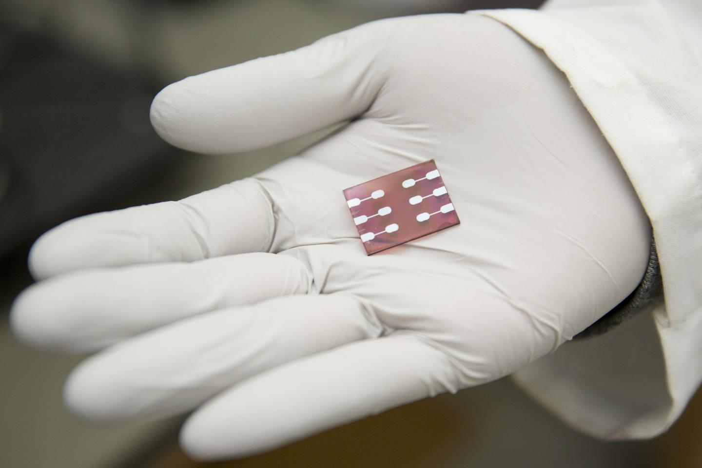 Polymer Solar Cell