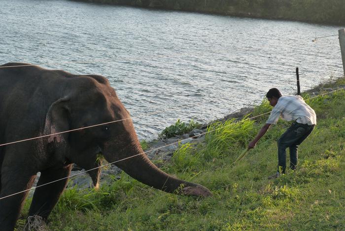 Up close with wildlife