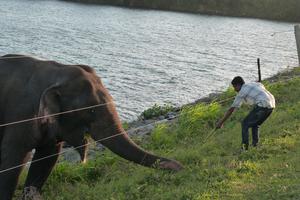 Up close with wildlife