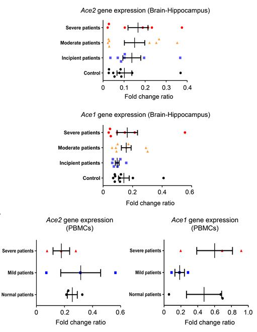 Analysis of Ace1 and Ace2 Gene Expression