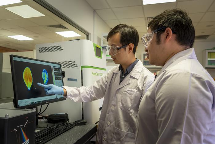 Nanoparticle smart spray helps crops block infection before it starts