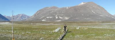 Measuring Equipment in Rylek&#230;ret Fen, Zackenberg