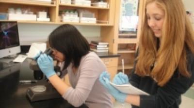 Students Fibroblast