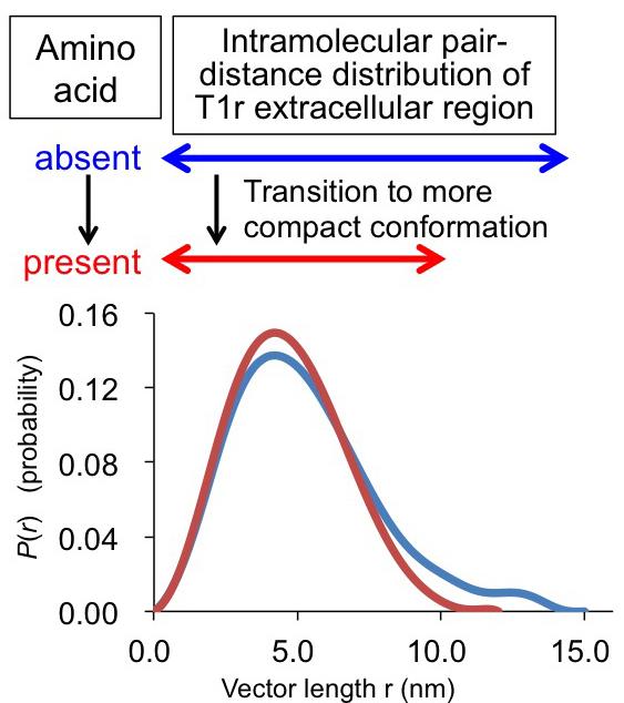 Fig. 1 Result of T1r Taste Receptor