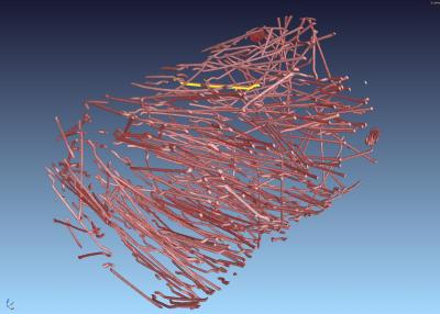 3-D Distribution