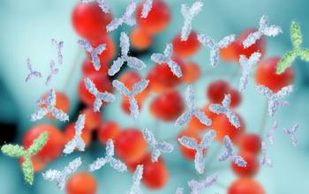 Novel Natural Antibody Therapeutics